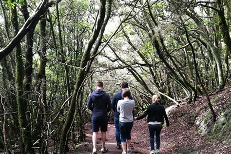 Hikking Tour In Anaga Canary Islands Spain