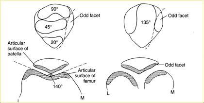 Patellofemoral Joint Anatomy