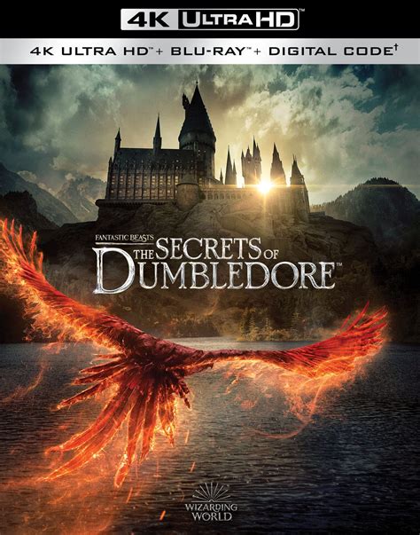 Fantastic Beasts The Secrets Of Dumbledore DVD Release Date June 28 2022