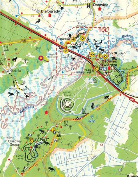 Biebrza Ski Park Narodowy Sk Adana Mapa