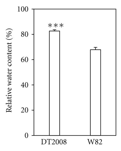 Relative Water Content Rwc Of Dt2008 And W82 Plants A Ten Day Old Download Scientific