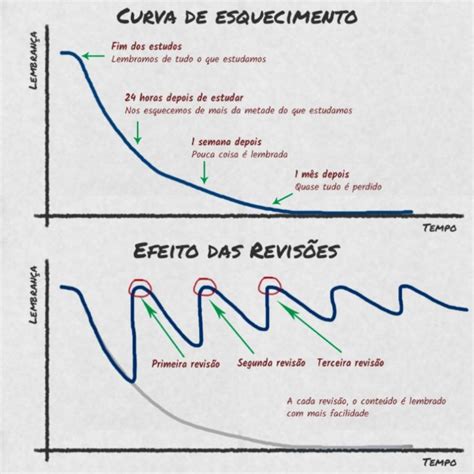 Entenda O Que A Curva De Esquecimento De Hermann Ebbinghaus Jaula