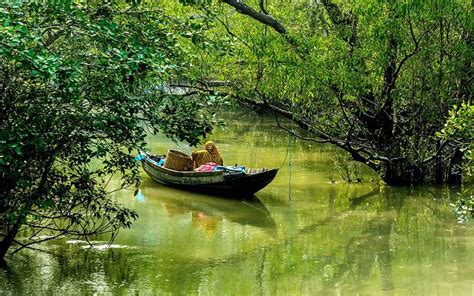 Cab Service Sundarban Tour | car hire service Sundarban Packages Tour | Rent a Car Sundarban Tour