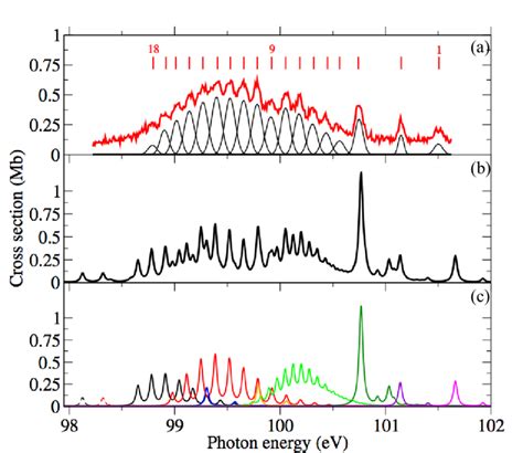 Experimental And Theoretical Total Photoabsorption Cross Section