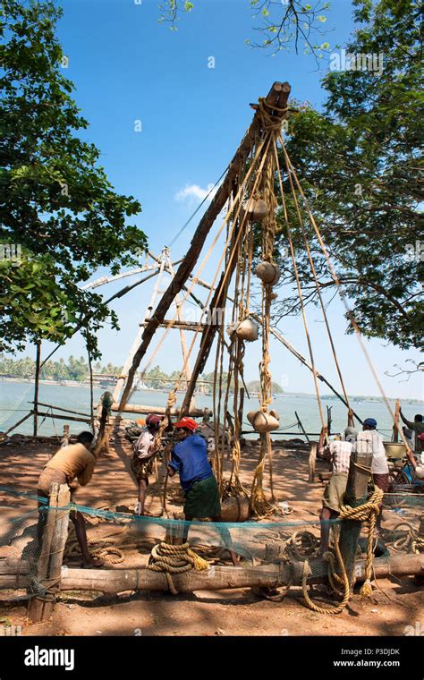 Cochin India February Fishermen Pull Out Their Chinese Fishing