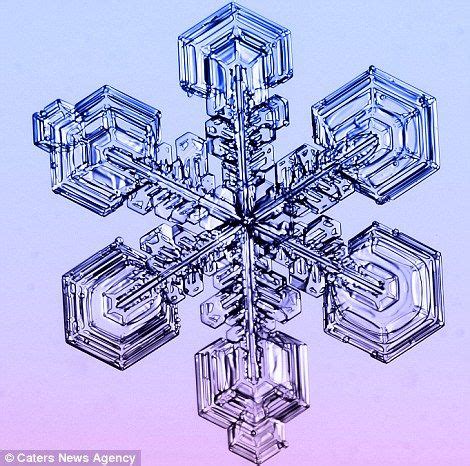 Winter S Wonders Amazing Pictures Of Snowflakes Captured In All Their