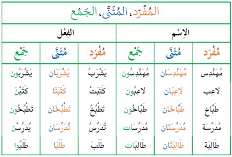 مثنی در عربی چیست ؟ — به زبان ساده مثال و تمرین فرادرس مجله‌