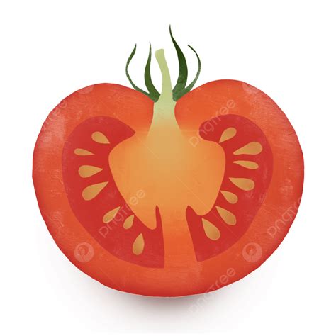 Elementos De Tomate Cortados A Mano En Dibujos Animados Creativos PNG