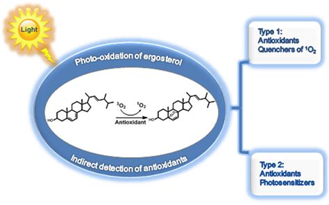 How Antioxidants May Have A Pro Oxidant Effect Atlas Of Science