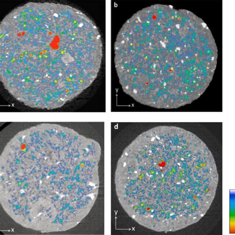 The Calculated Thickness Maps Of Pore Networks Over A Fresh Fcc1 B