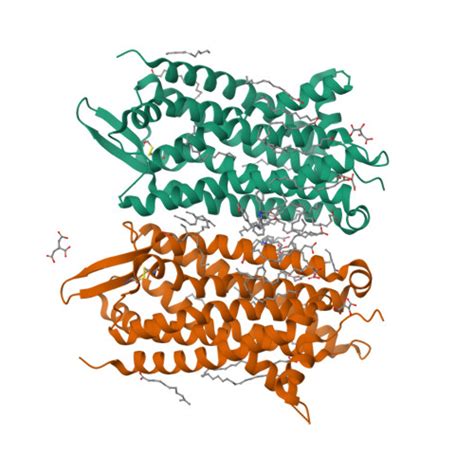 ca  receptor complement peptide receptors iupharbps guide