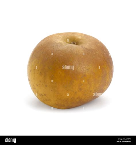 Egremont Russet Apple Stock Photo Alamy