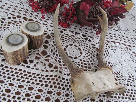 REAL Deer Antlers Spike Horn Antler Mount to Wall Hanging | Etsy