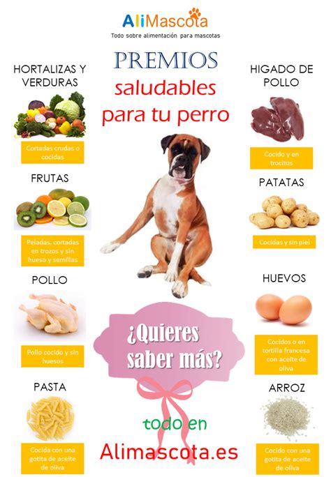 Alimentos Saludables Como Recompensa Para Tu Perro