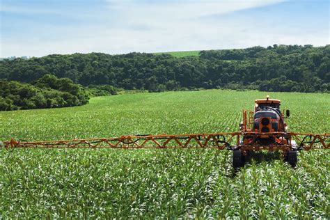 El Impacto De La Covid 19 En La Agricultura De Argentina