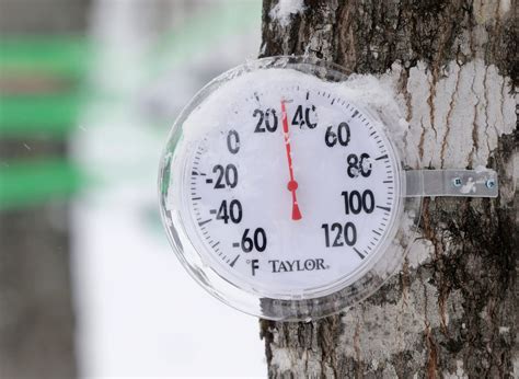 'Pretty fair in the maple world': Cold spring weather means strong
