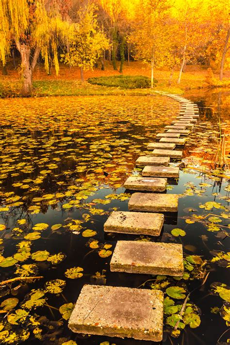 Пътечка в езерото - Evgeni Dinev Photography