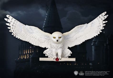 Harry Potter Owl Mail