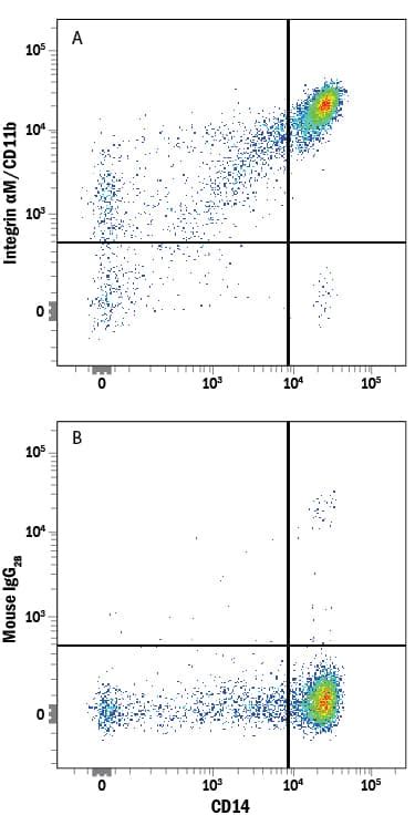 Human CD11b Integrin Alpha M Alexa Fluor 647 Conjugated Antibody