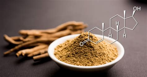 Does Ashwagandha Increase Testosterone Levels Healthed Academy