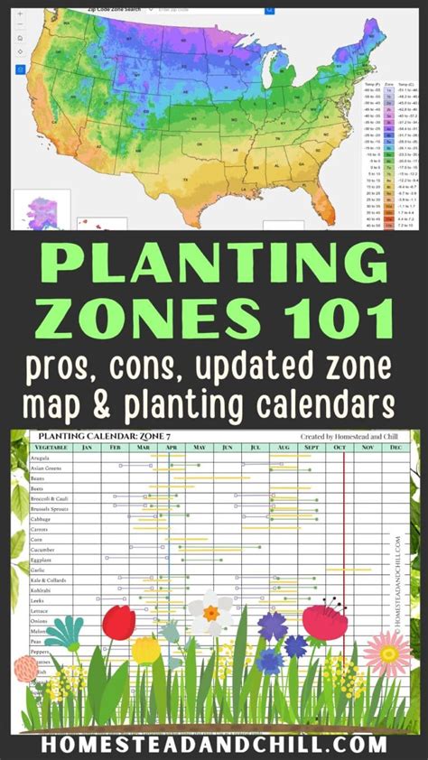 Garden Zones 101 New Hardiness Zone Map Planting Charts Limitations ~ Homestead And Chill