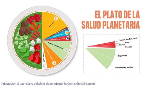 C Mo Dise Ar Un Men Basal Equilibrado En Colectividades Rollingfood