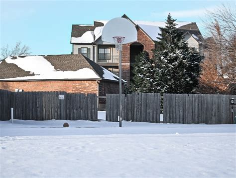 How To Pick The Best Basketball Hoop For Your Backyard - OwnPlayground