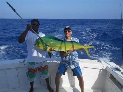 Punta Cana fishing trips with Charter Post 42 (2020 prices) - Tom's Catch