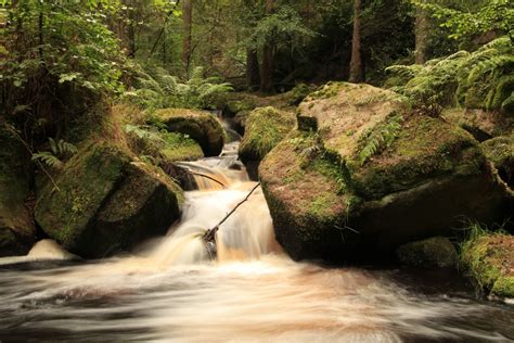 Kostenlose Foto Landschaft Baum Natur Wald Rock Wasserfall Bach