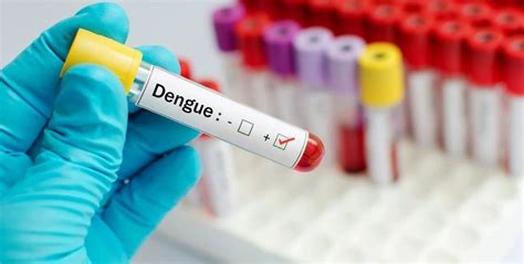 Casos De Dengue Aumentan En La Raz N