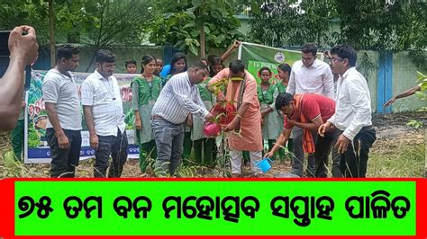 ୭୫ ତମ ବନ ମହତସବ ସପତହ ପଳତ sandhananews odianews24 topnews