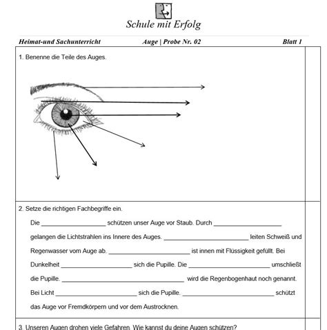 Schande Gelegenheit Vor Bergehend Grundschule Das Auge Kalt Stellen