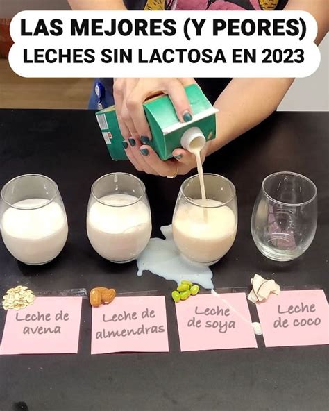 Las Mejores Y Peores Leches Sin Lactosa En Crees Que La Leche