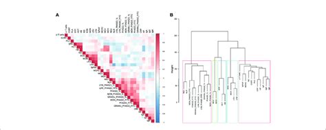 Genetic Relationships Among Phenotypes Based On The Normalized