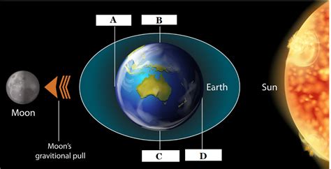 Solved Looking at this diagram of how the Earth, | Chegg.com