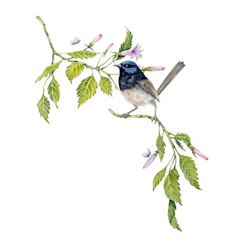 Premium Vector Watercolor Composition With A Fairy Wren Bird On Green