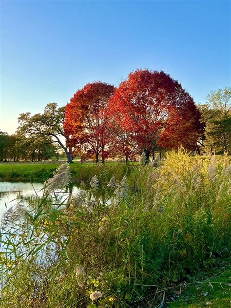 bittersweet golf club 7