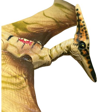 Pteranodon Jurassic Park