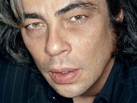 Papel De Parede Benicio Del Toro Homem Morena Cabelos Grisalhos