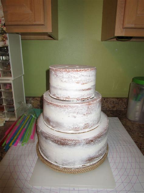 Naked Rustic Succulents Cake CakeCentral