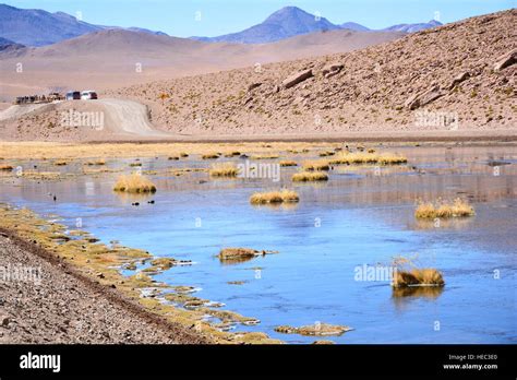 Landscape Of Mountain And Lake In Atacama Desert Chile Stock Photo Alamy