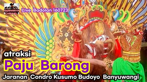 Paju Barong Jaranan Ckb Banyuwangi Live Badolan Youtube