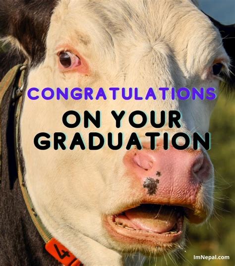 Funny Graduation Congratulations Meme