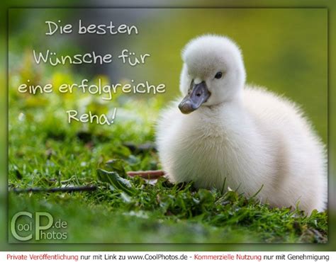 CoolPhotos de besten Wünsche für eine erfolgreiche Reha