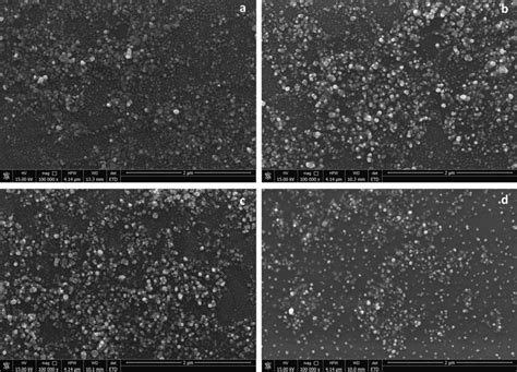 Scanning electron microscopy (SEM) images of the synthesized AgNPs: (a ...