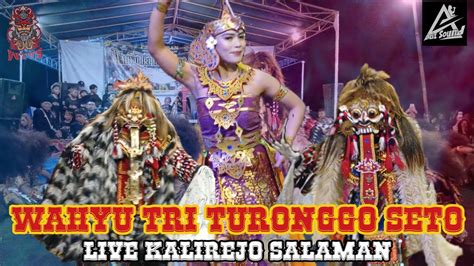 Kolaborasi Wiroyudho Leak Dan Cenderawasih Wahyu Tri Turonggo Seto Live