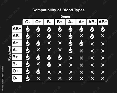 Blood Types Compatibility Table Abo Blood Group A B Ab O