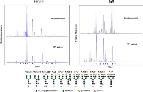 Representative Desialylated N‐glycan Profiling For Serum And Igg Of