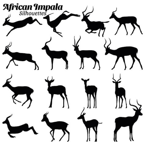 Premium Vector African Impala Silhouettes Vector Illustration Set