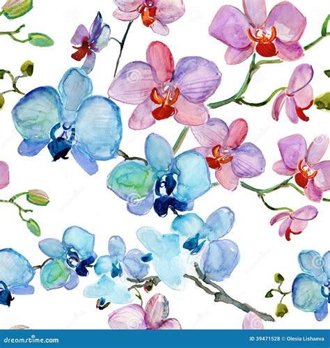 Orchids Flowers Watercolor Illustration Stock Illustration